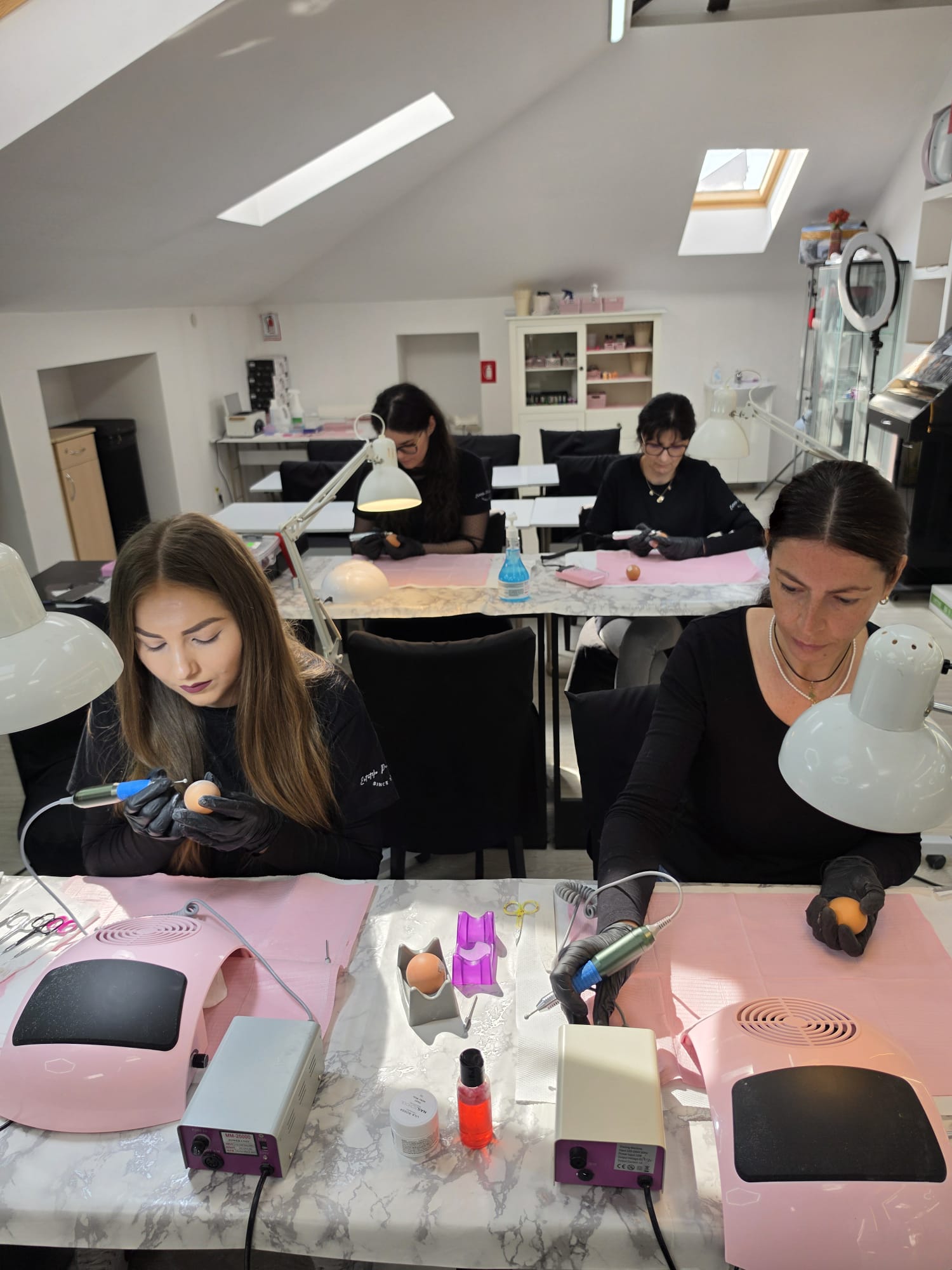 Curs Stilist Protezist Unghii Cod COR 514208